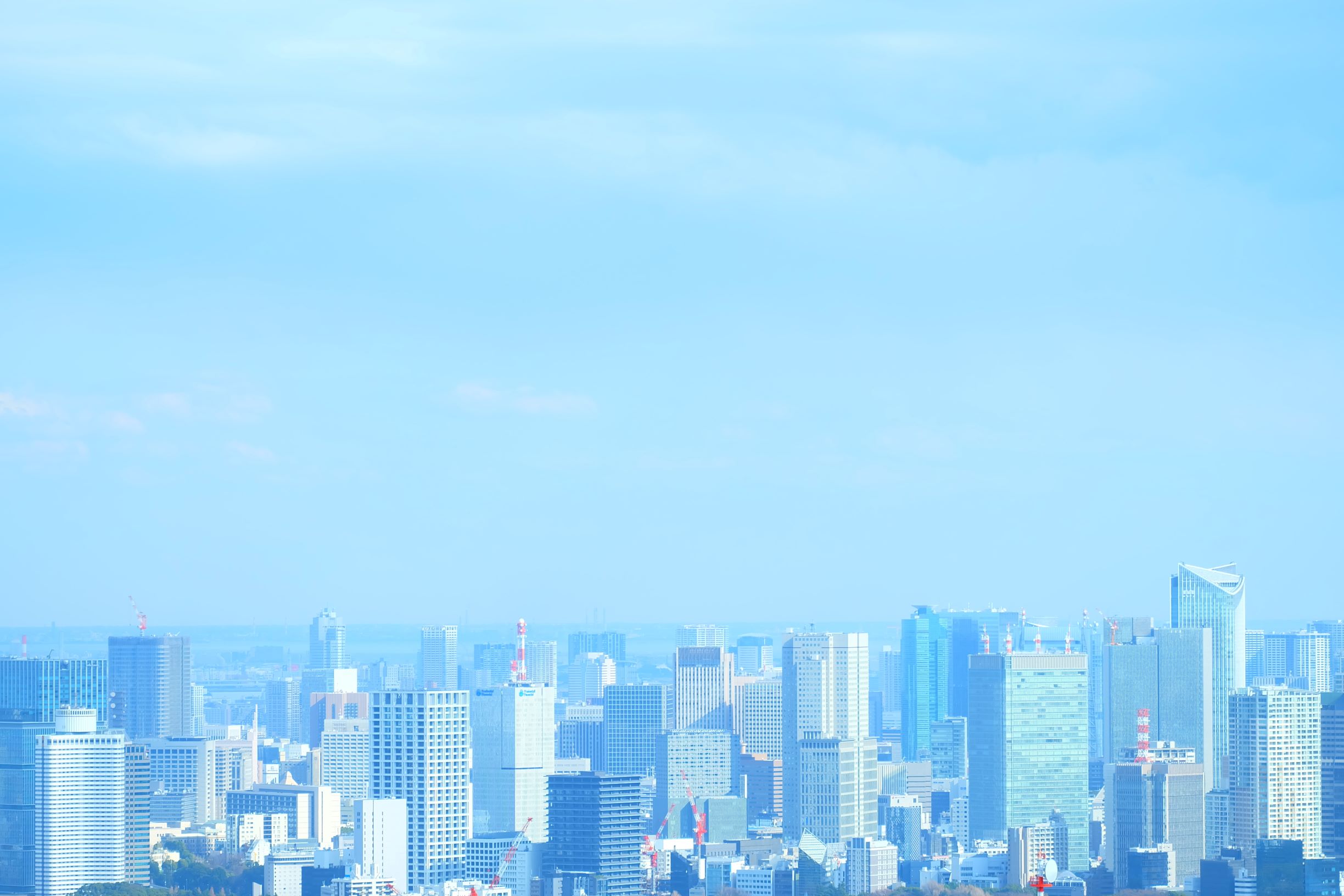 サイトオープンのお知らせ